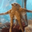 Okto The Octopus crypto project on ListingSpy