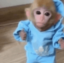 monke crypto project on ListingSpy