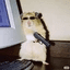 Eddie The Hamster crypto project on ListingSpy