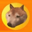 Copper Inu crypto project on ListingSpy
