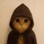 Cult crypto project on ListingSpy