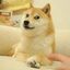 Dogecoin by Billy Markus crypto project on ListingSpy