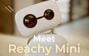 Reachy Mini crypto project on ListingSpy