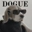 DOGUE crypto project on ListingSpy
