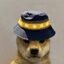 BNB DOGE crypto project on ListingSpy