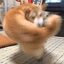 Right-Hook Dog crypto project on ListingSpy