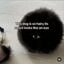 Manako Dog crypto project on ListingSpy