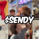 sendy crypto project on ListingSpy