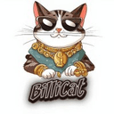 BilliCat crypto project on ListingSpy