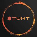 STUNT crypto project on ListingSpy