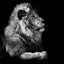The Lion crypto project on ListingSpy