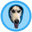 doginhood crypto project on ListingSpy
