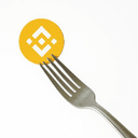 Forked Bnb crypto project on ListingSpy