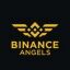 Binance Angels crypto project on ListingSpy