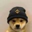 dogwifhat crypto project on ListingSpy