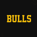 Bulls crypto project on ListingSpy