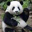 花花 crypto project on ListingSpy