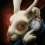 White Rabbit Pointing at a Clo... crypto project on ListingSpy