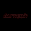 burncoin crypto project on ListingSpy