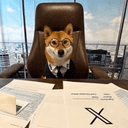 Flōki crypto project on ListingSpy