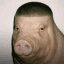 Wigger Pig crypto project on ListingSpy