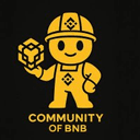 Community of BNB crypto project on ListingSpy