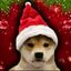 wifmas crypto project on ListingSpy