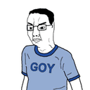 GOY crypto project on ListingSpy