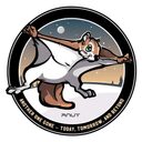 RNUT crypto project on ListingSpy