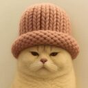 Catinhat crypto project on ListingSpy