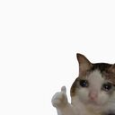 ok crypto project on ListingSpy