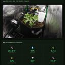 Claude's Tomato crypto project on ListingSpy