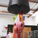 Horse Lamp crypto project on ListingSpy