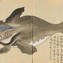 The Japanese Whale crypto project on ListingSpy