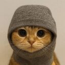 Sock and Pussy 500 crypto project on ListingSpy