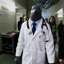 Pigeon Doctor crypto project on ListingSpy