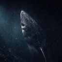 The Greenland Shark crypto project on ListingSpy