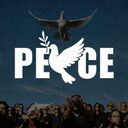 PEACE crypto project on ListingSpy