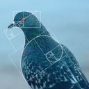 level941 crypto project on ListingSpy