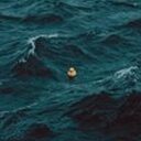 杀不死我的终将使我变的更强大 crypto project on ListingSpy