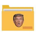 Trumpstein Files crypto project on ListingSpy