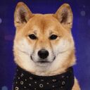 Kimchi crypto project on ListingSpy