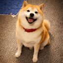 らんまる crypto project on ListingSpy