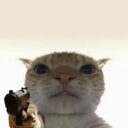 Staring Cat crypto project on ListingSpy