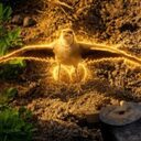 The Fearless Guardian crypto project on ListingSpy