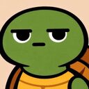 TheMisterTurtle crypto project on ListingSpy