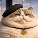Le Chaton Fat crypto project on ListingSpy