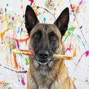 The Painting Dog crypto project on ListingSpy