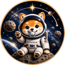 Baby Asteroid crypto project on ListingSpy