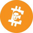 ElonMuskCoin crypto project on ListingSpy